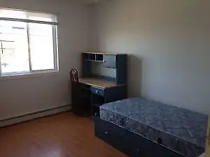 Chambre à louer