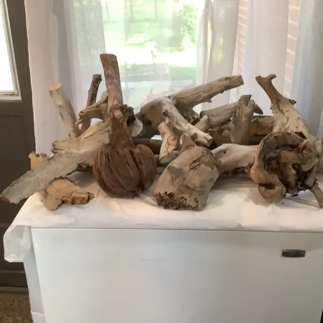 Drift wood