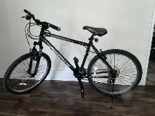 Norco Pinnacle Mountain Bike