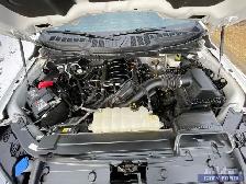 2022 Ford F-150 XLT 4x4 SuperCrew 5.5' Box - Photo 19