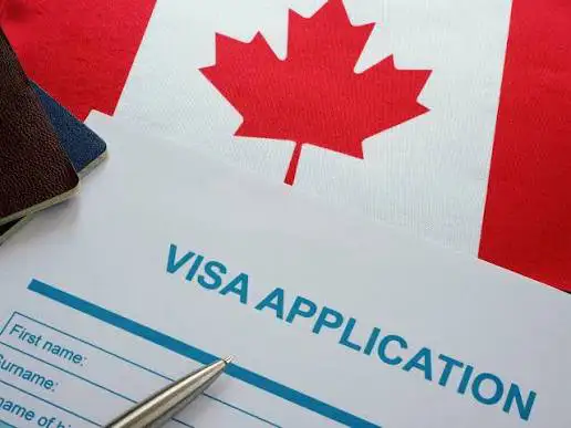 Immigration Sevices