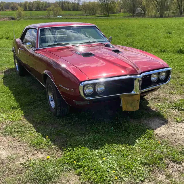 1968 Firebird