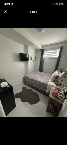 Basement Apartment for rent - Photo 8
