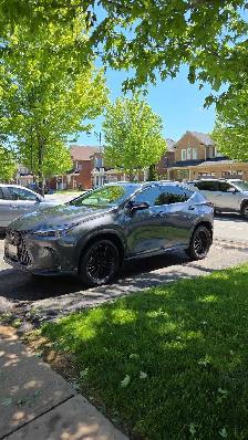 Obba Mobile Car Detailing - Photo 5