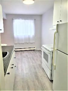 STUNNING 2 Bedroom - Large & Bright - Near Fairview Mall - Photo 3
