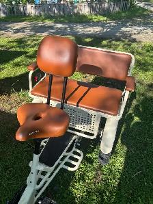 Ridex Passenger and Cargo e-bike - Photo 6