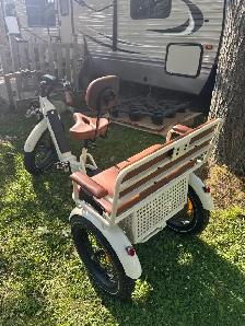 Ridex Passenger and Cargo e-bike - Photo 8