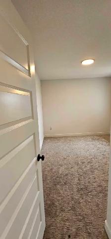 Pro painting services - Photo 6