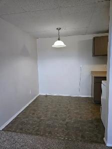 MAIN FLOOR – 1 BDRM – CAT FRIENDLY - Photo 3