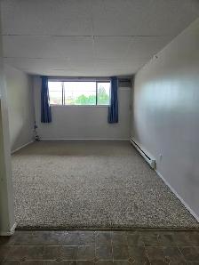 MAIN FLOOR – 1 BDRM – CAT FRIENDLY - Photo 5