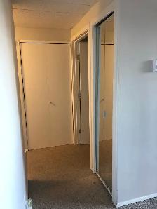 MAIN FLOOR – 1 BDRM – CAT FRIENDLY - Photo 8