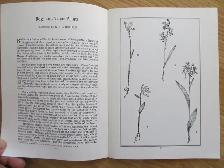 IN FOREST AND FIELD by John Erskine - 1976 - Photo 4