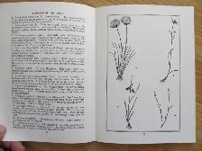 IN FOREST AND FIELD by John Erskine - 1976 - Photo 5