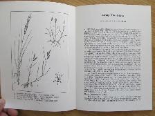 IN FOREST AND FIELD by John Erskine - 1976 - Photo 6