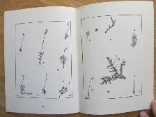 IN FOREST AND FIELD by John Erskine - 1976 - Photo 7