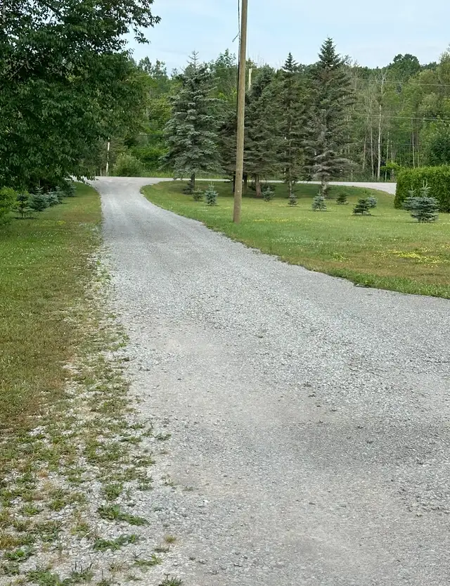 FOR RENT AVAILABLE AUG 1 WAUBAUSHENE / FESSERTON / SEVERN