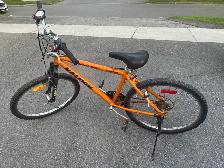Raleigh Mountain Bike