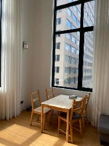 Spacious 16-ftceilings Loft 2-BDs Condo for Ren - Photo 5