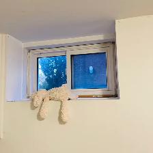 Room 4 Rent - Lakeshore Long Branch