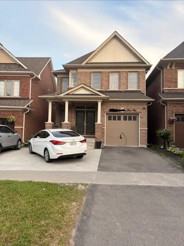 1 basement apartment in north Oshawa