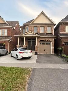 1 basement apartment in north Oshawa