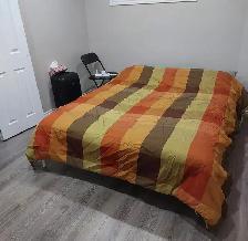 1 basement apartment in north Oshawa - Photo 10