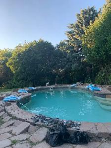 JUNE Pool Openings - Photo 5