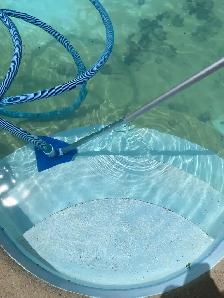 JUNE Pool Openings - Photo 6