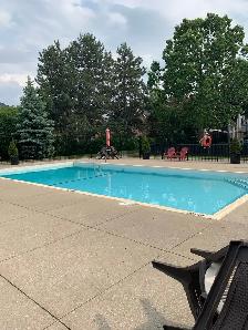 JUNE Pool Openings - Photo 7