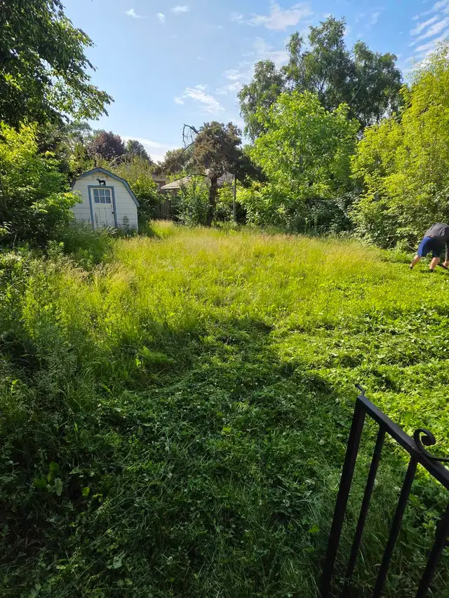 lawn care