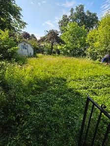 lawn care
