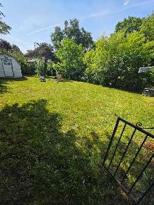 lawn care - Photo 2