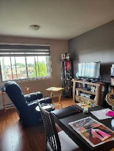 3 1/2 À LAVAL TRÈS TRANQUILLE AVEC ASCENSEUR! - Photo 2