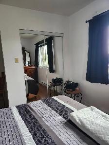 3 1/2 À LAVAL TRÈS TRANQUILLE AVEC ASCENSEUR! - Photo 7