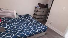 Legal Brampton Basement for Rent Sheridan College 2 Bedroom - Photo 6
