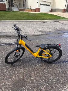 2 BikTrix E-Bikes