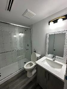 Basment for Rent