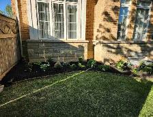 Experienced Gardener Available – New Beds, Planting & Pruning!
