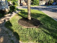 Experienced Gardener Available – New Beds, Planting & Pruning! - Photo 2