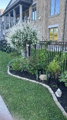 Experienced Gardener Available – New Beds, Planting & Pruning! - Photo 3
