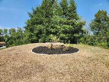 Experienced Gardener Available – New Beds, Planting & Pruning! - Photo 7