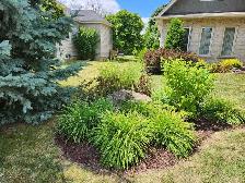 Experienced Gardener Available – New Beds, Planting & Pruning! - Photo 8