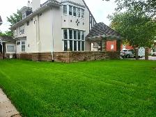 Experienced Landscape Labourers, Year-Round, $18–$28/hr - Photo 3