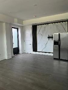 LUXURIOUS 1 BDRM BSMT APRT FOR RENT - GOREWAY & CASTLEMORE - Photo 4