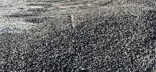 Recycled Asphalt Millings | Delivery Available |