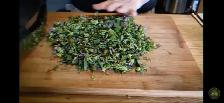 prunella Carpenters herb that heals everything - Photo 8
