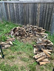 free firewood