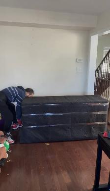 Professional Moving & Packing Services - Toronto On - Photo 6