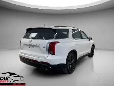Hyundai Palisade Urban 2025 - Photo 3