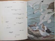 THE BIRDS OF NOVA SCOTIA by Robbie Tufts – 1961 HC - Photo 9
